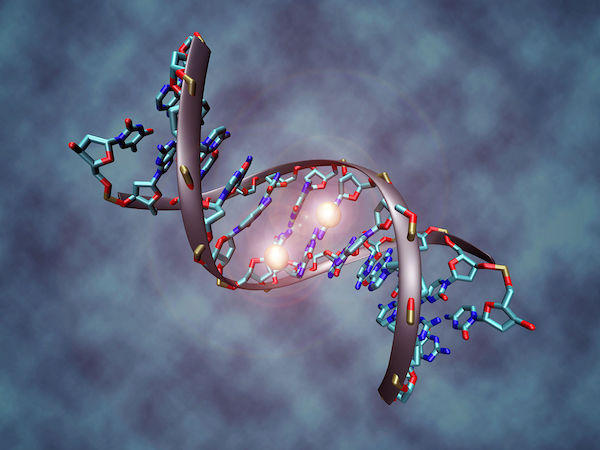 DNA methylation - an introduction